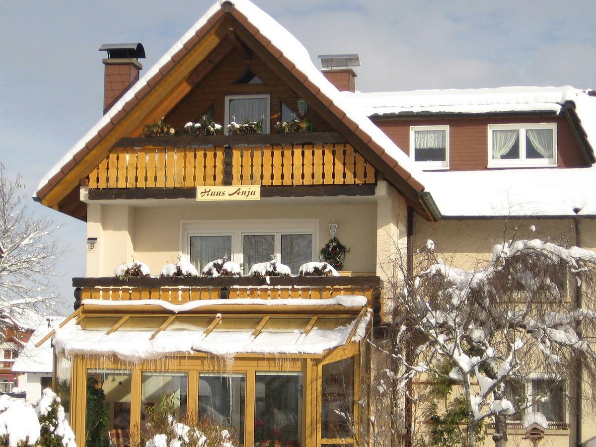 Ferienwohnung Haus Anja Titisee-Neustadt Exterior foto